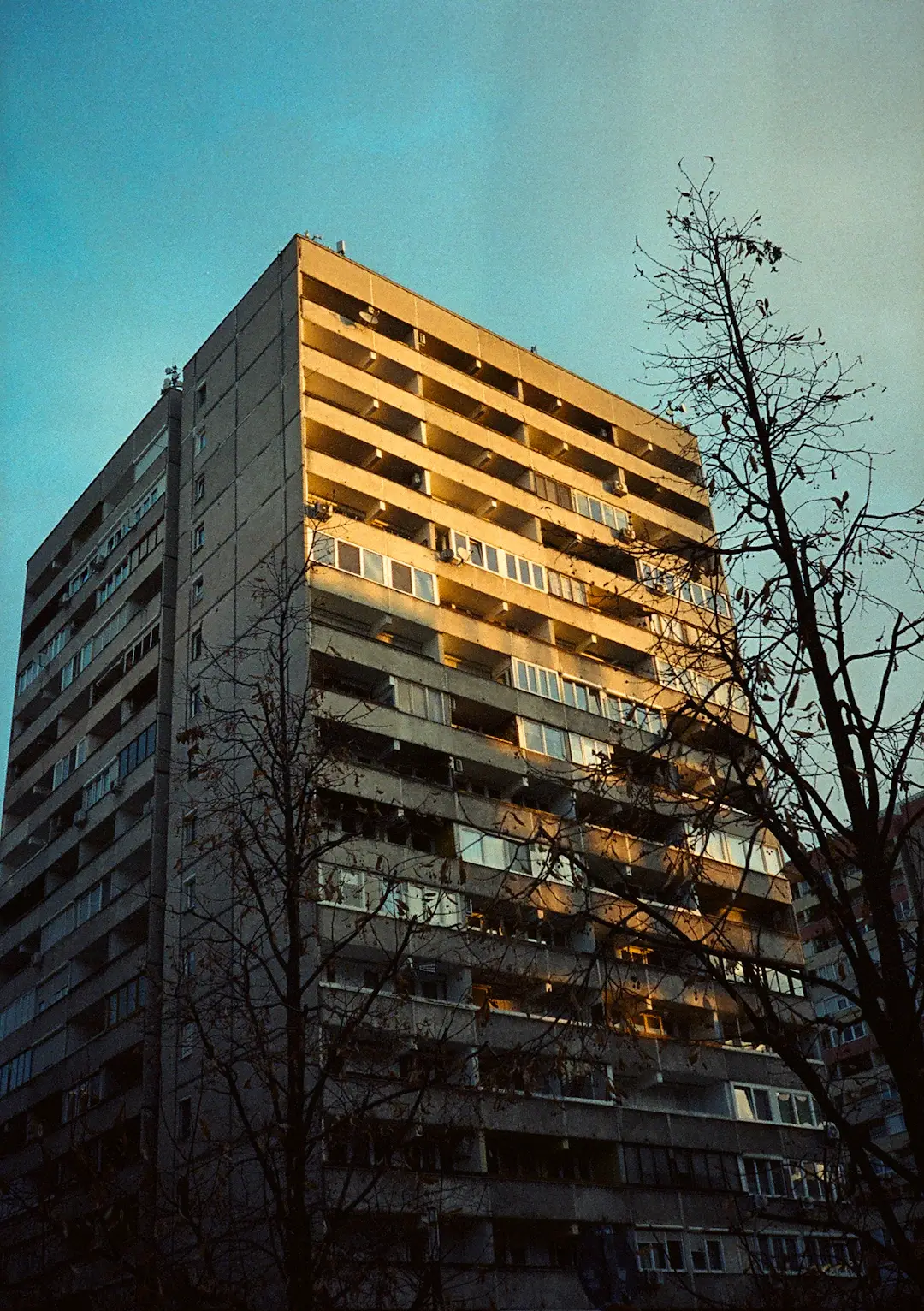 Photo de 'stachmann' sur Unsplash